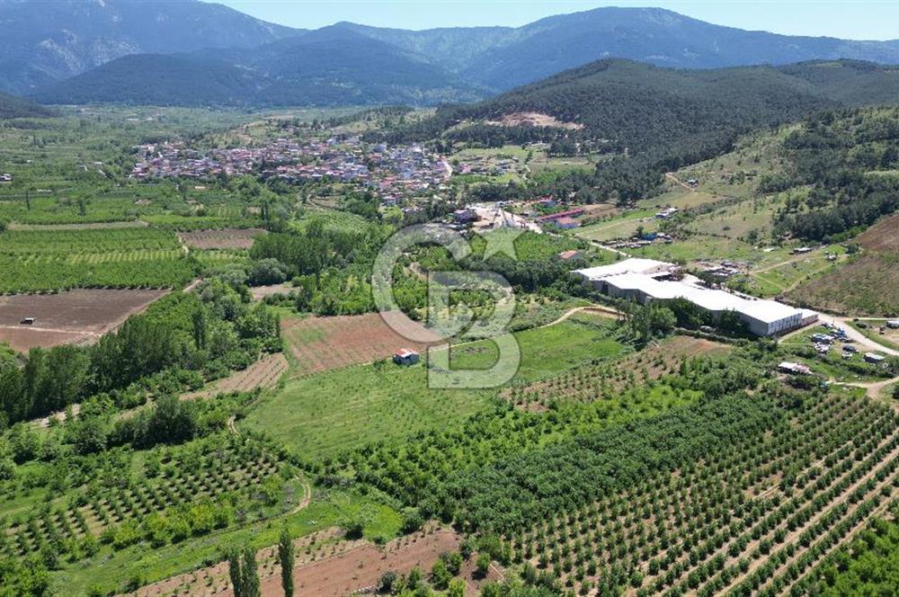 ÇANAKKALE BAYRAMİÇ EVCİLER KÖYÜ'NDE 500m²﻿ FIRSAT SATILIK ARAZİ