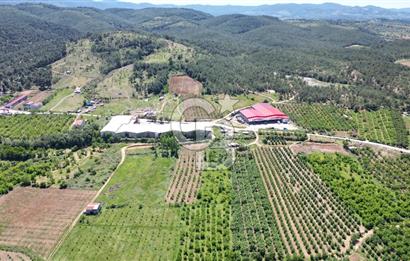 ÇANAKKALE BAYRAMİÇ EVCİLER KÖYÜ'NDE 500m²﻿ FIRSAT SATILIK ARAZİ