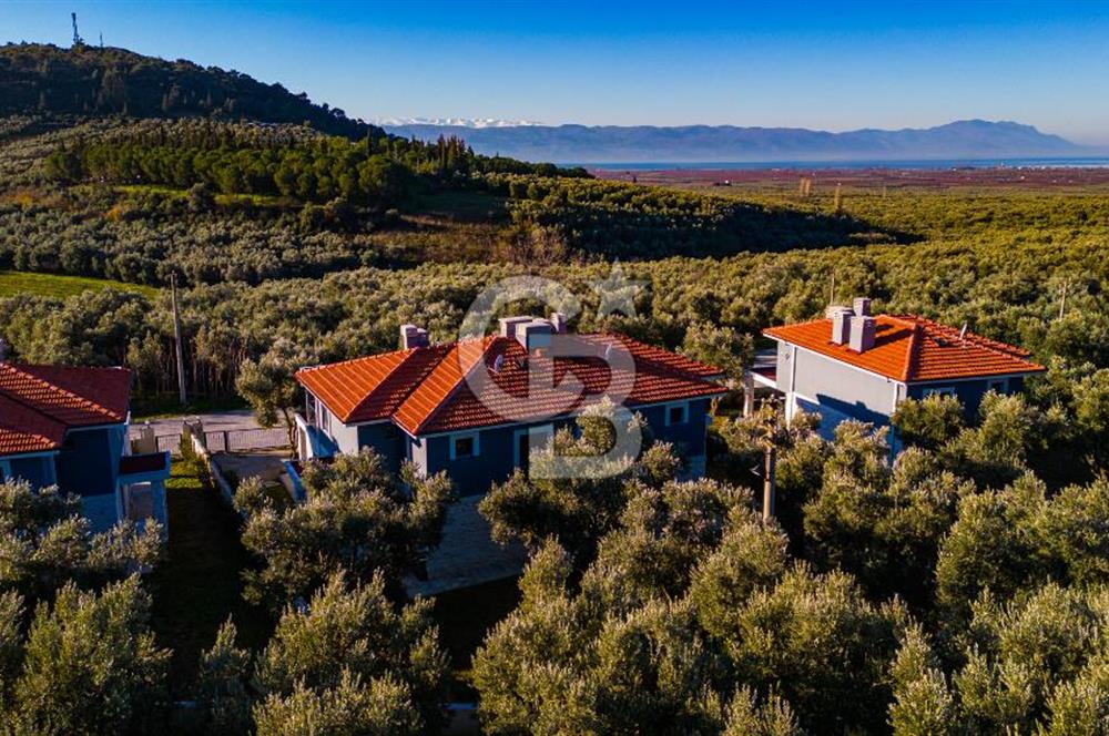 BURSA İZNİK ELBEYLİDE EXCLUSIVE VİLLA PROJESİ