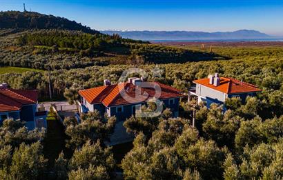 BURSA İZNİK ELBEYLİDE EXCLUSIVE VİLLA PROJESİ
