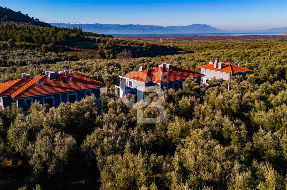 BURSA İZNİK ELBEYLİDE EXCLUSIVE VİLLA PROJESİ