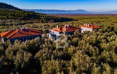 BURSA İZNİK ELBEYLİDE EXCLUSIVE VİLLA PROJESİ
