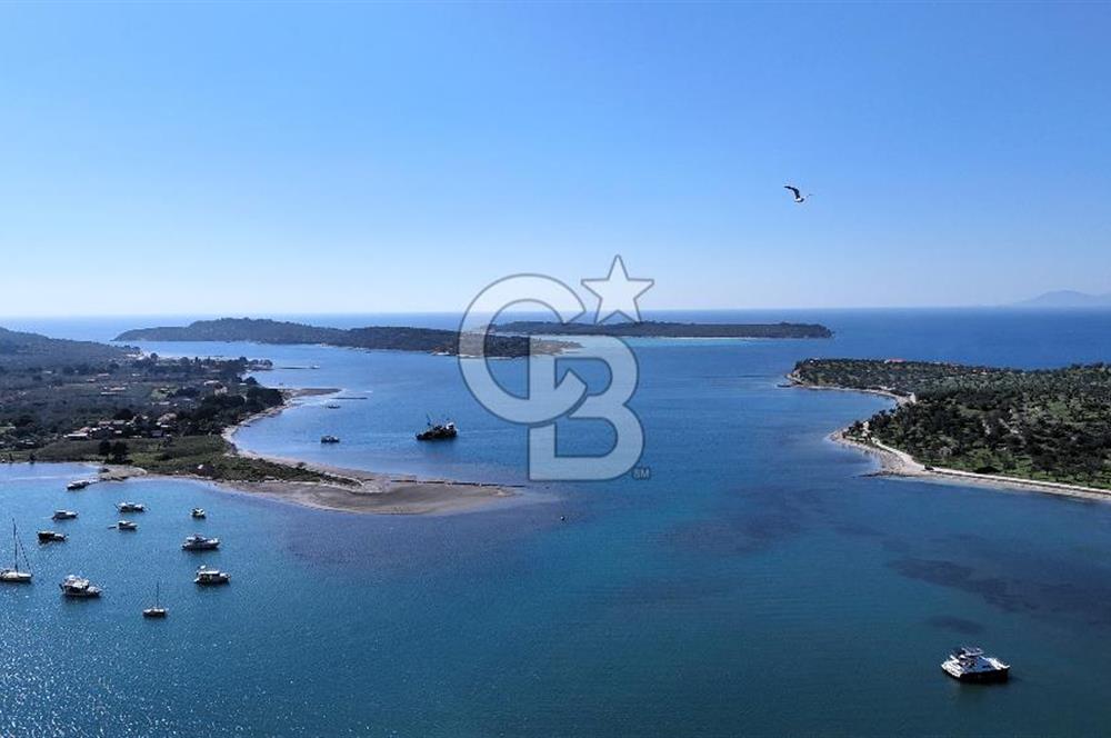 İZMİR BADEMLİ YARIM ADA İÇİNDE DENİZ MANZARALI SATILIK ZEYTİNLİK