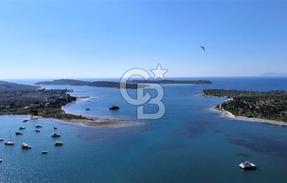 İZMİR BADEMLİ YARIM ADA İÇİNDE DENİZ MANZARALI SATILIK ZEYTİNLİK