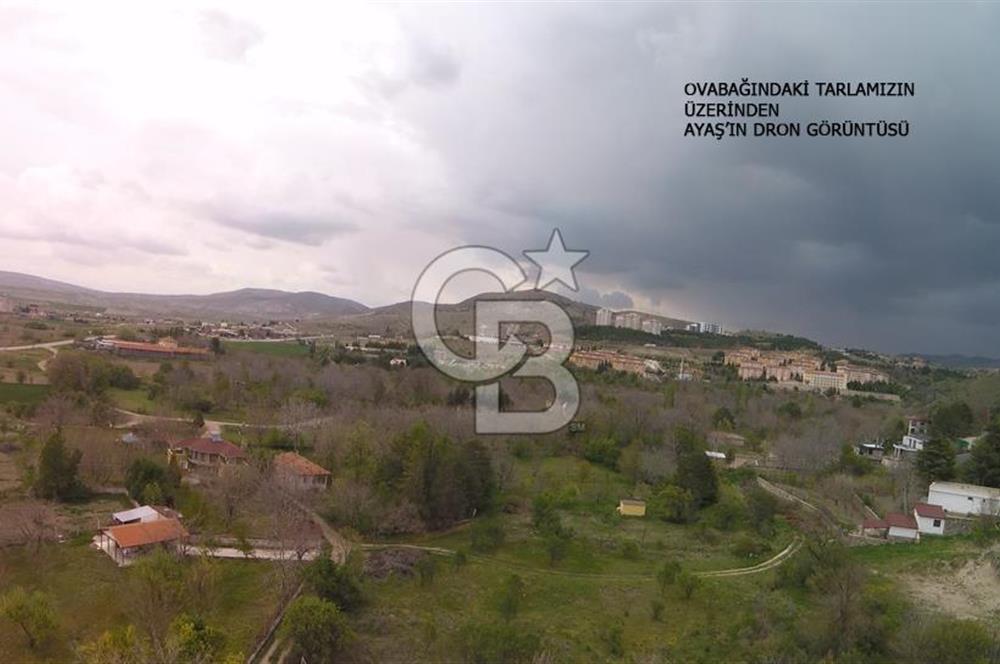 AYAŞ OVABAĞI MEVKİİNDE 3464 M2 İMARA SINIR TARLA-BAĞ