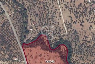 🌿 TORBALI DAĞKIZILCA KÖYÜ’NDE ANA CADDE ÜZERİNDE VERİMLİ TARLA – 25 DÖNÜM 🌿