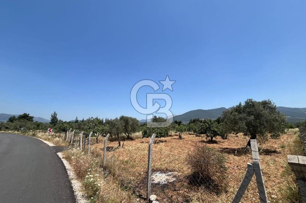 🌿 TORBALI DAĞKIZILCA KÖYÜ’NDE ANA CADDE ÜZERİNDE VERİMLİ TARLA – 25 DÖNÜM 🌿