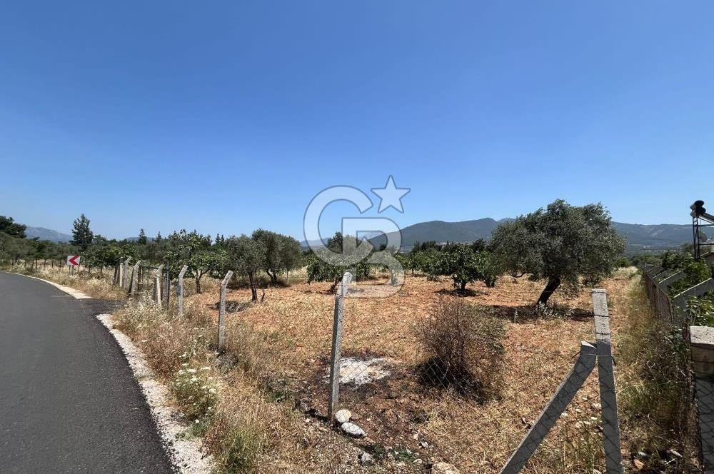 🌿 TORBALI DAĞKIZILCA KÖYÜ’NDE ANA CADDE ÜZERİNDE VERİMLİ TARLA – 25 DÖNÜM 🌿