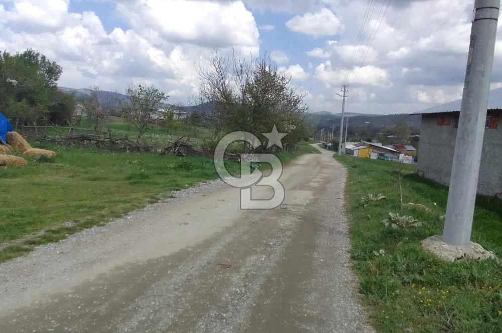 CB ELEGANCE 'DEN PAZARYERİNDE SATILIK ÇİFTLİK