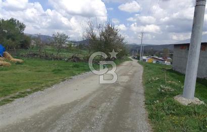 CB ELEGANCE 'DEN PAZARYERİNDE SATILIK ÇİFTLİK
