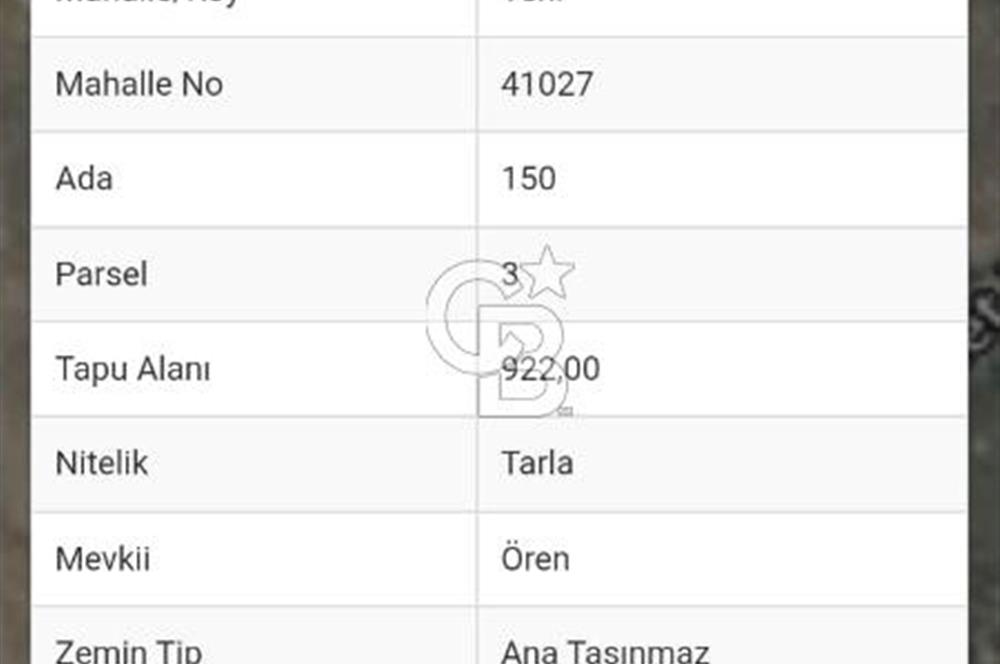 CB ELEGANCE 'DEN PAZARYERİNDE SATILIK ÇİFTLİK