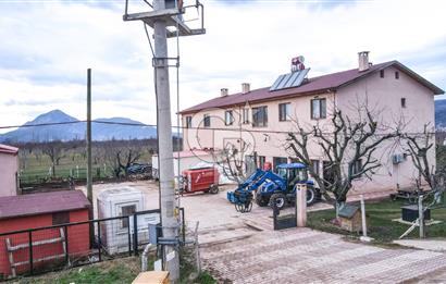 BİLECİK GÖLPAZARINDA SATILIK PEYNİR FABRİKASI