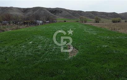AYAŞ - BEYPAZARI ANA YOLUNA CEPHELİ 6.507 M2 SATILIK TARLA