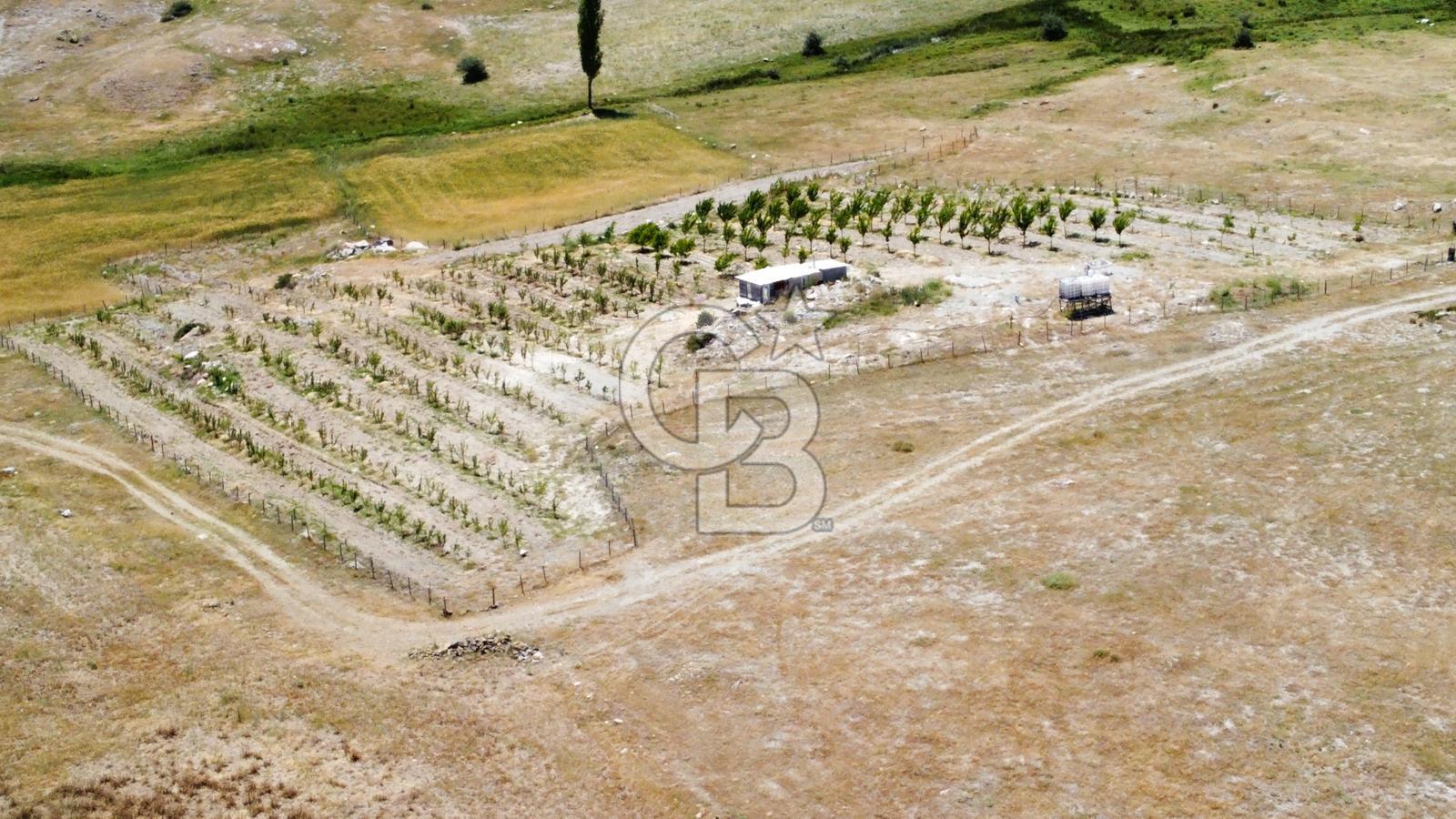 KÜTAHYA MERKEZDE SATILIK TARLA