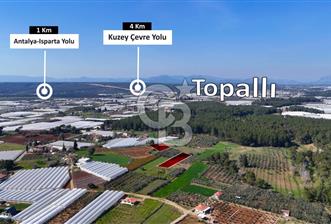 AKSU TOPALLIDA SATILIK PARSEL