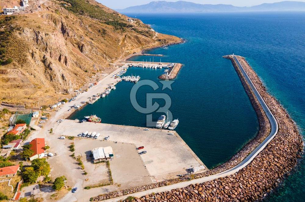 ÇANAKKALE AYVACIK BABAKALE AKLİMAN SATILIK YOLA YAKIN ZEYTİNLİK