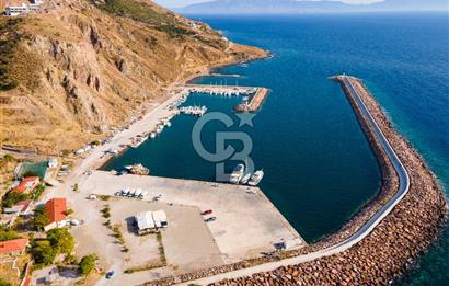 ÇANAKKALE AYVACIK BABAKALE AKLİMAN SATILIK YOLA YAKIN ZEYTİNLİK