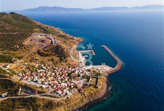 ÇANAKKALE AYVACIK BABAKALE AKLİMAN SATILIK YOLA YAKIN ZEYTİNLİK
