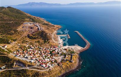 ÇANAKKALE AYVACIK BABAKALE AKLİMAN SATILIK YOLA YAKIN ZEYTİNLİK