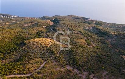 ÇANAKKALE AYVACIK BABAKALE AKLİMAN SATILIK YOLA YAKIN ZEYTİNLİK