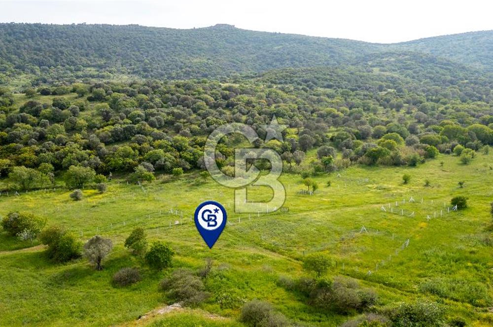 Foça Yenibağarası'nda Satılık 644 m2 Tarla