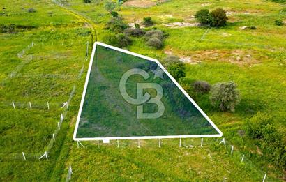 Foça Yenibağarası'nda Satılık 644 m2 Tarla