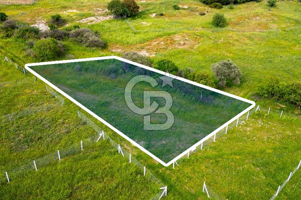 Foça Yenibağarası'nda Satılık 644 m2 Tarla