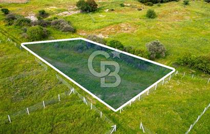 Foça Yenibağarası'nda Satılık 644 m2 Tarla