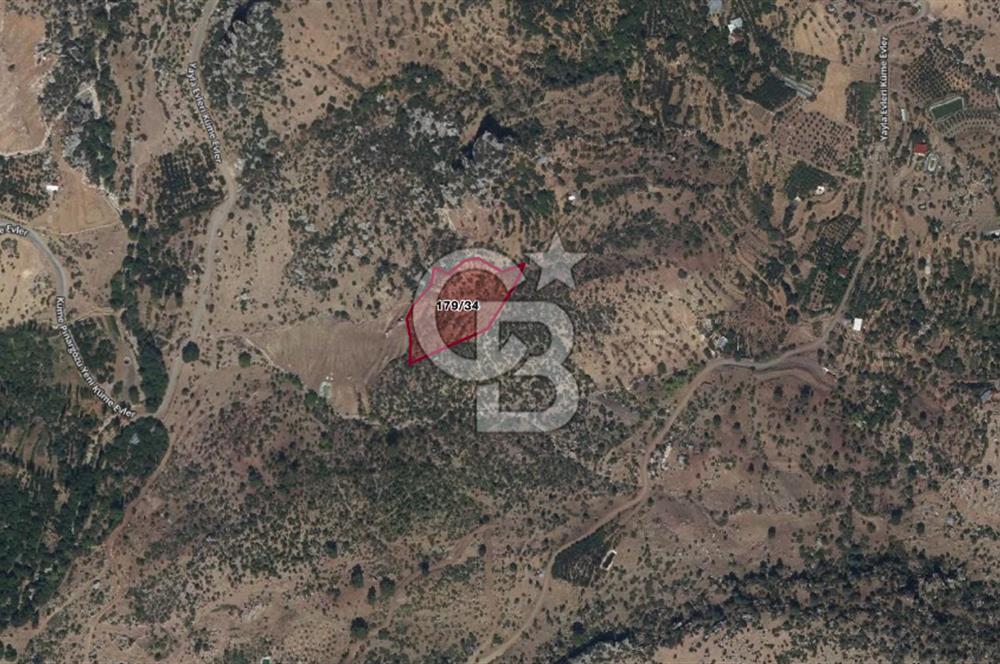 Alanya Gündoğmuş Yeniköyde Müstakil Tapulu 7.076 m² Fırsat Arazi