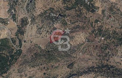 Alanya Gündoğmuş Yeniköyde Müstakil Tapulu 7.076 m² Fırsat Arazi