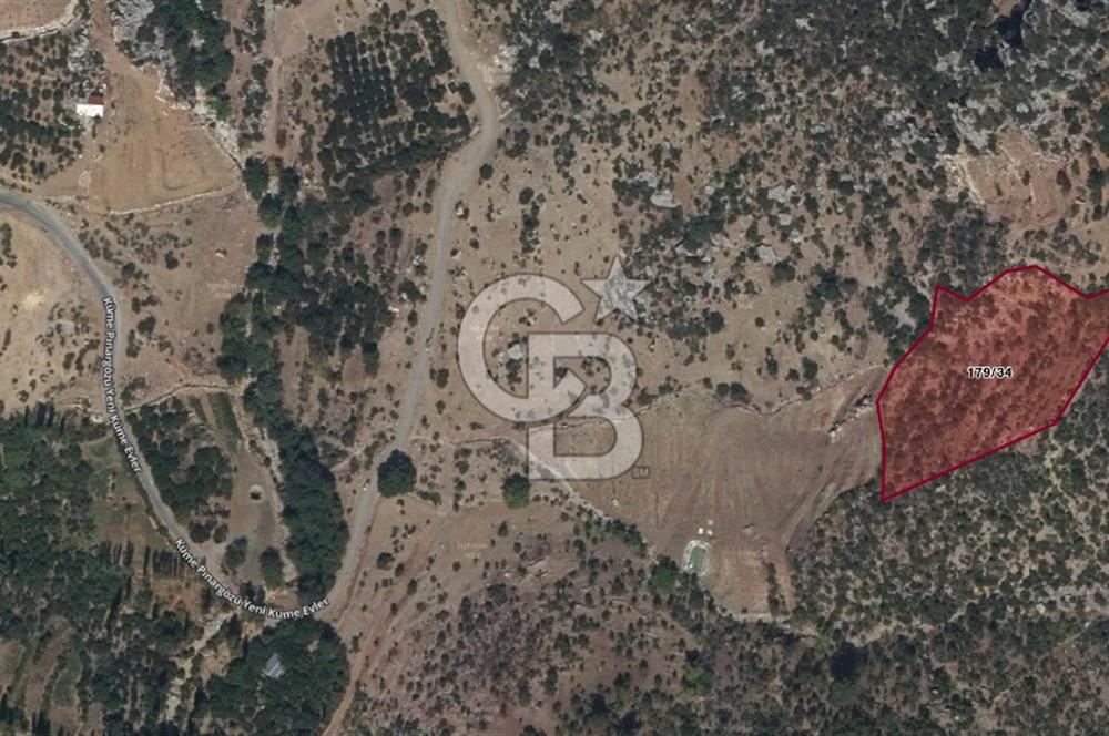 Alanya Gündoğmuş Yeniköyde Müstakil Tapulu 7.076 m² Fırsat Arazi