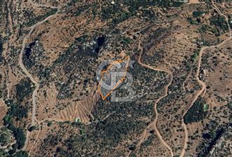 Alanya Gündoğmuş Yeniköyde Müstakil Tapulu 7.076 m² Fırsat Arazi