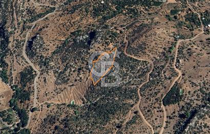 Alanya Gündoğmuş Yeniköyde Müstakil Tapulu 7.076 m² Fırsat Arazi