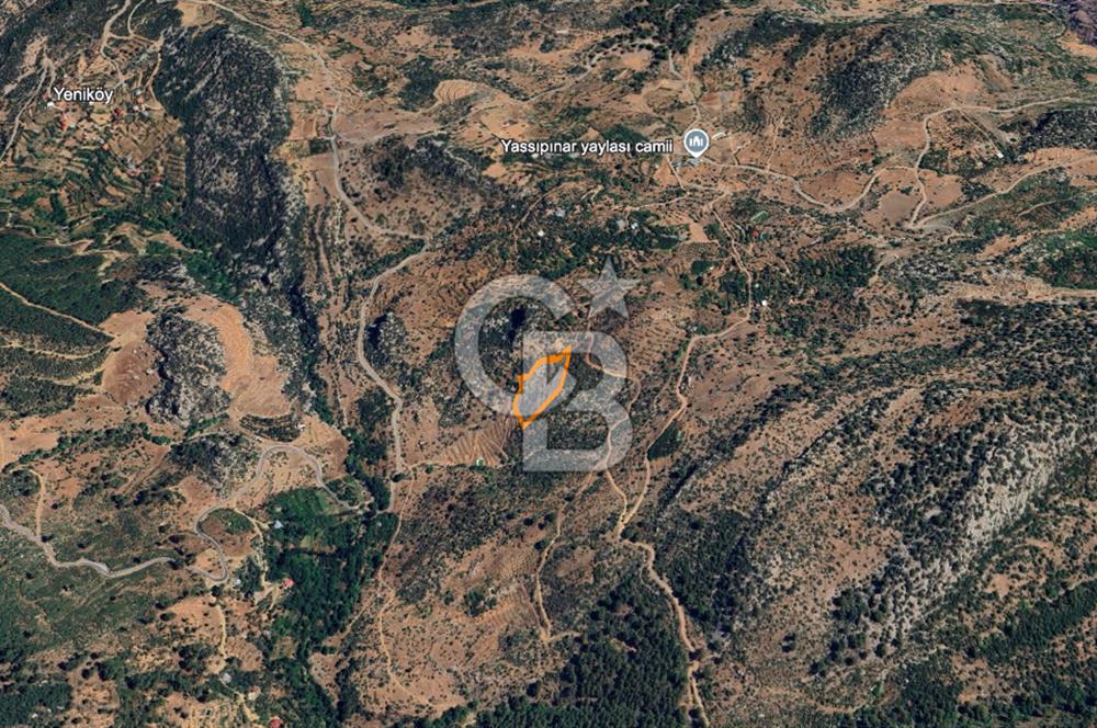 Alanya Gündoğmuş Yeniköyde Müstakil Tapulu 7.076 m² Fırsat Arazi