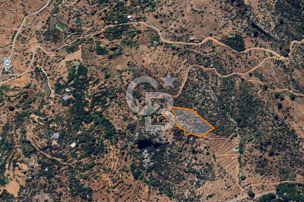 Alanya Gündoğmuş Yeniköyde Müstakil Tapulu 7.076 m² Fırsat Arazi