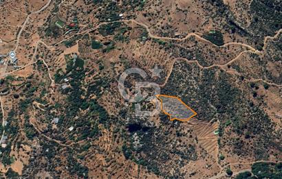 Alanya Gündoğmuş Yeniköyde Müstakil Tapulu 7.076 m² Fırsat Arazi