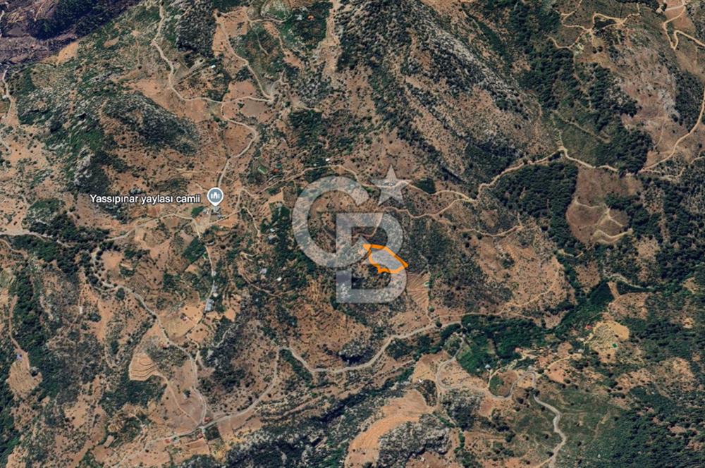 Alanya Gündoğmuş Yeniköyde Müstakil Tapulu 7.076 m² Fırsat Arazi