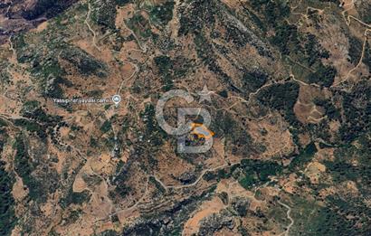 Alanya Gündoğmuş Yeniköyde Müstakil Tapulu 7.076 m² Fırsat Arazi