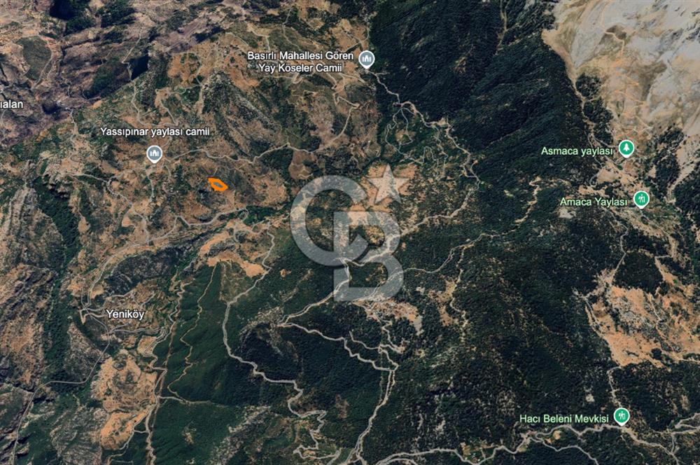 Alanya Gündoğmuş Yeniköyde Müstakil Tapulu 7.076 m² Fırsat Arazi