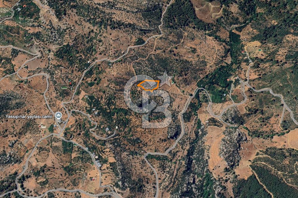 Alanya Gündoğmuş Yeniköyde Müstakil Tapulu 7.076 m² Fırsat Arazi