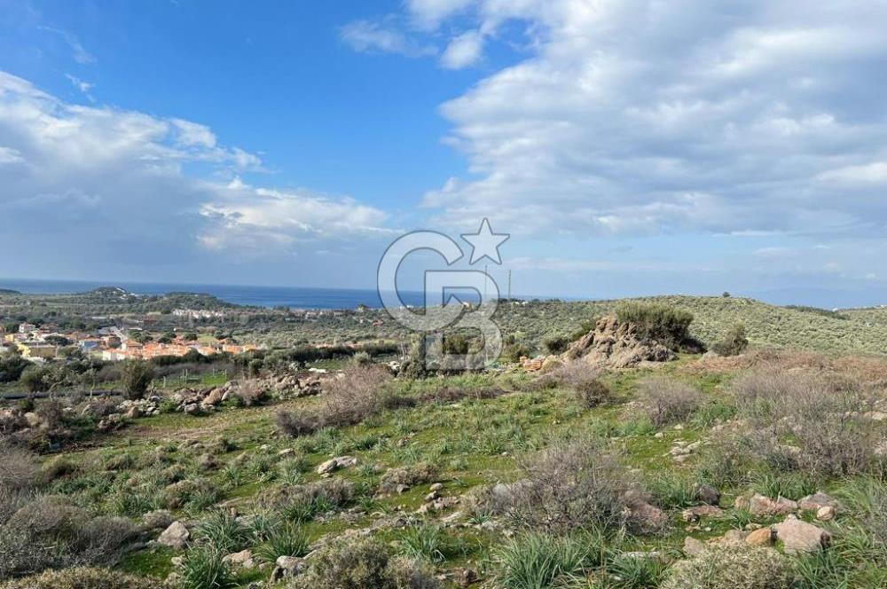 DİKİLİ BADEMLİ DE DENİZ MANZARALI 300 M2 SATILIK ARSA