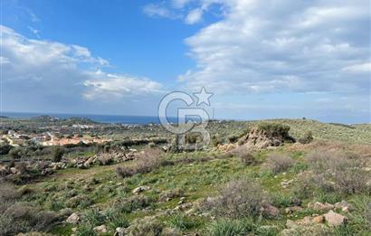 DİKİLİ BADEMLİ DE DENİZ MANZARALI 300 M2 SATILIK ARSA