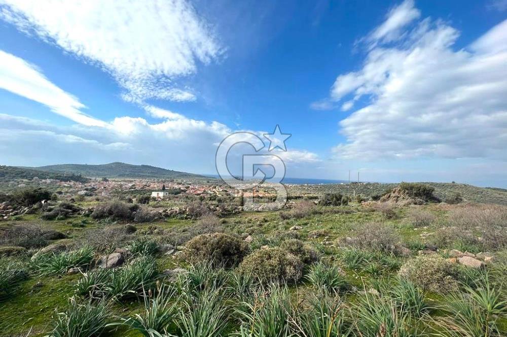 DİKİLİ BADEMLİ DE DENİZ MANZARALI 300 M2 SATILIK ARSA