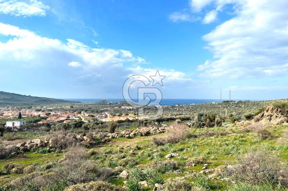 DİKİLİ BADEMLİ DE DENİZ MANZARALI 300 M2 SATILIK ARSA