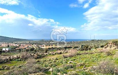 DİKİLİ BADEMLİ DE DENİZ MANZARALI 300 M2 SATILIK ARSA