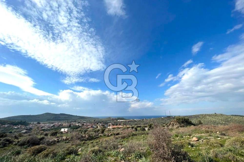 DİKİLİ BADEMLİ DE DENİZ MANZARALI 300 M2 SATILIK ARSA