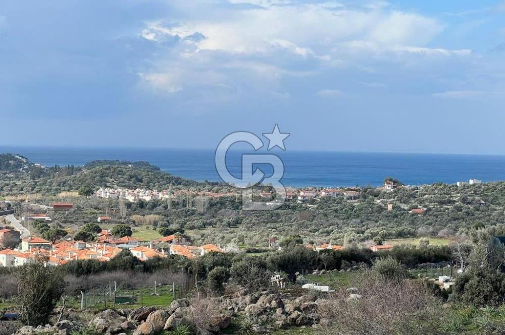 DİKİLİ BADEMLİ DE DENİZ MANZARALI 300 M2 SATILIK ARSA