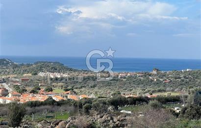 DİKİLİ BADEMLİ DE DENİZ MANZARALI 300 M2 SATILIK ARSA