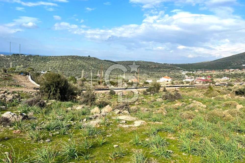 DİKİLİ BADEMLİ DE DENİZ MANZARALI 300 M2 SATILIK ARSA