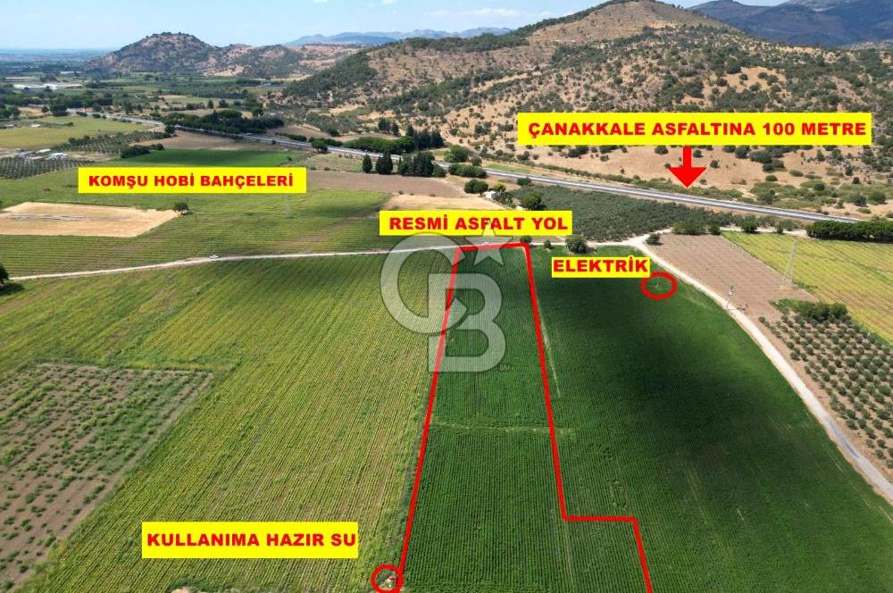 Dikili merkeze yakın 210m2 tarla